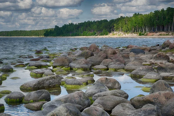 Costa del Mar Baltico in vacanza estiva — Foto Stock