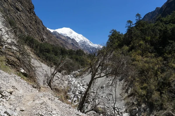 네팔 Langtang 계곡 트레킹 — 스톡 사진