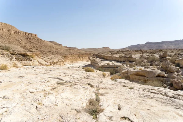 Israeliska öken resor — Stockfoto