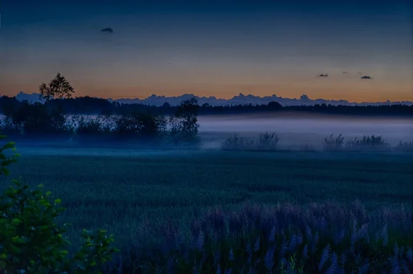 Abendnebel im europäischen Raum — Stockfoto