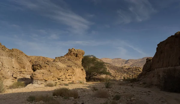İsrail negev çöl manzarada seyahat — Stok fotoğraf