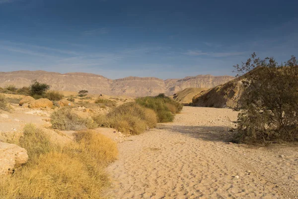 이스라엘 네 게 브 사막 풍경 여행 — 스톡 사진