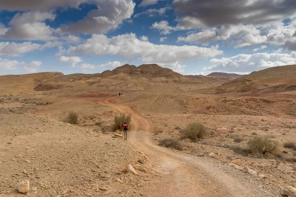 Veduta Del Deserto Del Cratere Ramon Dell Israele Meridionale Durante — Foto Stock