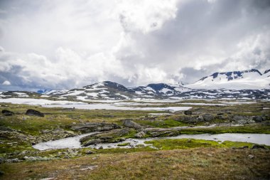 Norveç dağlarda yaz seyahat