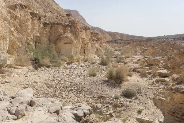 Öknen trekking i Israel — Stockfoto