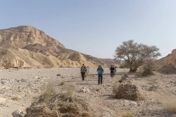 Περιπατητικός Τουρισμός Δραστηριότητα Στο Ορεινό Τοπίο Της Ερήμου — Φωτογραφία Αρχείου