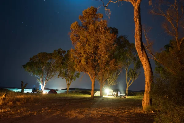 Campamento nocturno en un bosque — Foto de Stock