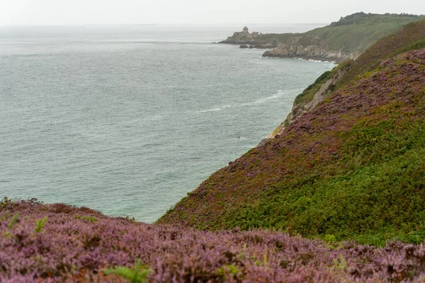 Campos de urze em cap frehel em viagens românticas — Fotografia de Stock