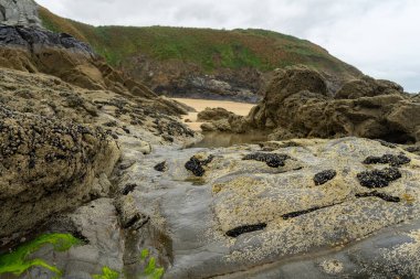 Gelgit ve akış sırasında Fransız Britanny sahilleri