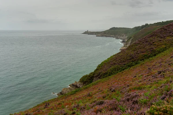 Campos de urze em cap frehel em viagens românticas — Fotografia de Stock