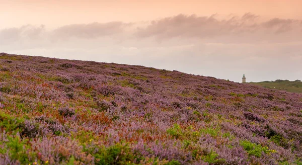 Heather Fields romantik yolculukta Cap Frehel 'de