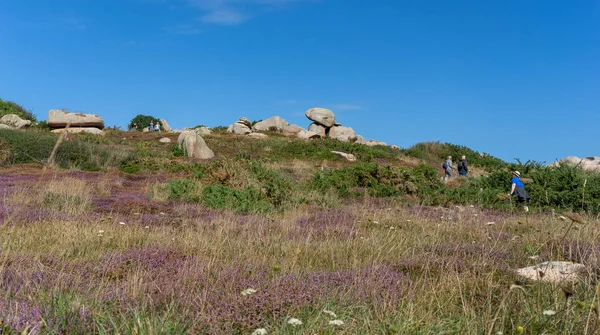 Senderismo en la costa bretagne cotes d 'armor —  Fotos de Stock