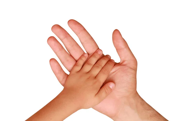 Mano Del Bambino Nella Mano Uomo Sfondo Bianco — Foto Stock