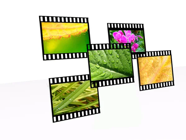 Frames with nature shots - ecology background — Stock Photo, Image