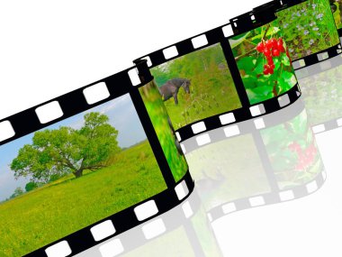 Beyaz arka plan üzerinde renkli fotoğraf (doğa) film rulo