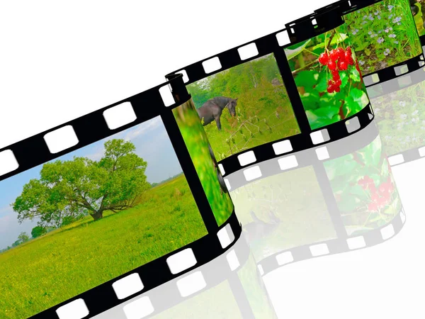 Filmrolle mit Farbbildern (Natur) auf weißem Hintergrund — Stockfoto