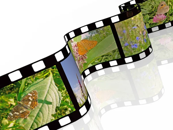 Filmrulle med färgbilder (natur) på vit bakgrund — Stockfoto