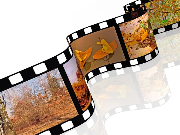 Filmrolle mit Farbbildern (Natur) auf weißem Hintergrund — Stockfoto