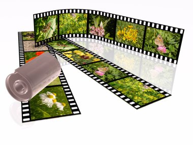 Beyaz arka plan üzerinde renkli fotoğraf (doğa) film rulo