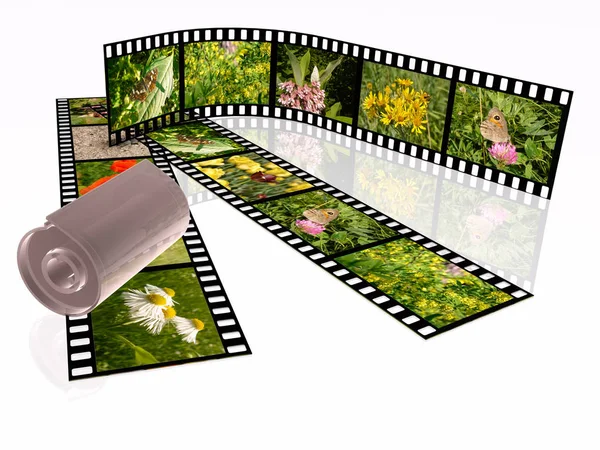 Beyaz arka plan üzerinde renkli fotoğraf (doğa) film rulo