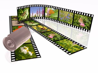 Beyaz arka plan üzerinde renkli fotoğraf (doğa) film rulo