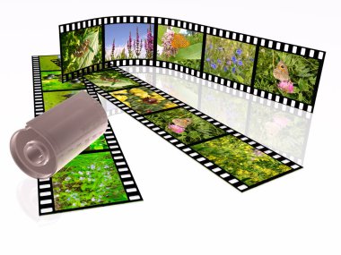 Beyaz arka plan üzerinde renkli fotoğraf (doğa) film rulo