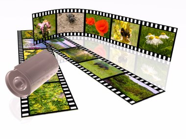 Beyaz arka plan üzerinde renkli fotoğraf (doğa) film rulo