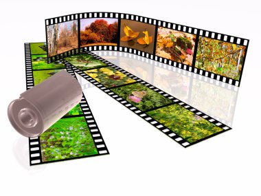 Beyaz arka plan üzerinde renkli fotoğraf (doğa) film rulo