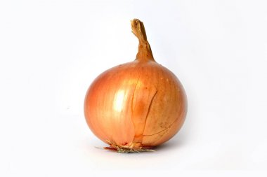Beyaz zemin üzerinde bir soğan.