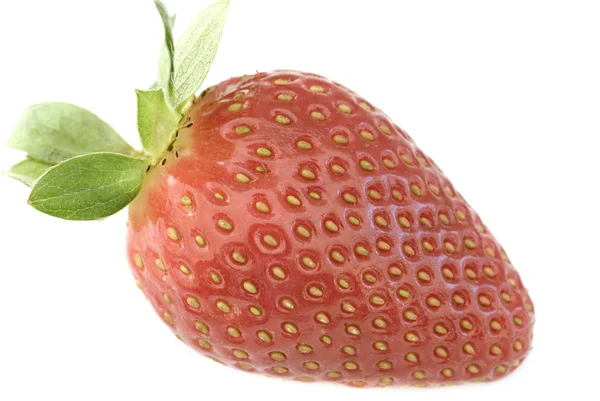Einzelne saftige reife rote Erdbeere — Stockfoto