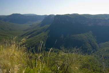 Grose Vadisi 'nin peyzaj görünümü, NSW, Avustralya