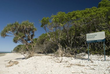 Bayan Musgrave Island beach