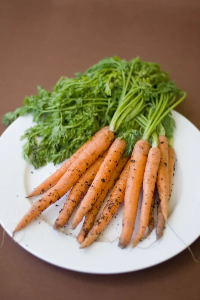 Bund frische rohe Karotten mit ihren Blättern — Stockfoto