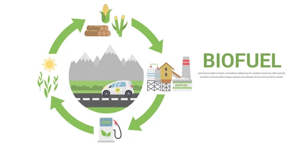 Lebenszyklus von Biokraftstoffen — Stockvektor