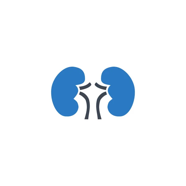 Kidneys related vector glyph icon. — Stock Vector