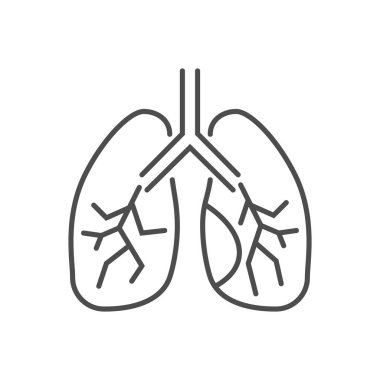 Ciğerlerle ilgili vektör ince çizgi simgesi