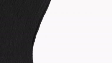 Çalı Fırçası Şeffaflıkla Ortaya Çıktı - Luma mat.