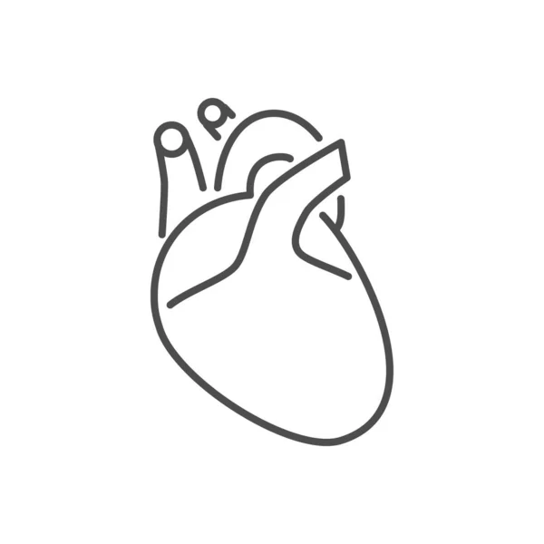 Herzbezogener Vektor Thin Line Icon. — Stockvektor