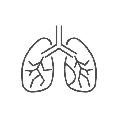 Ciğerlerle ilgili vektör ince çizgi simgesi