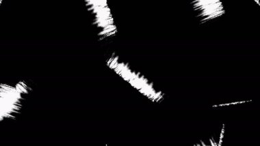 Çalı Fırçası Şeffaflıkla Ortaya Çıktı - Luma mat.