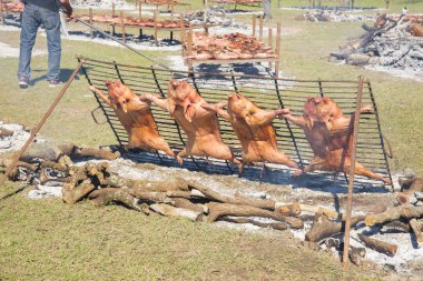 Yavru domuz kızartma