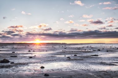 Baltık Denizi'nde duraklama. düşük su ve kum plaj