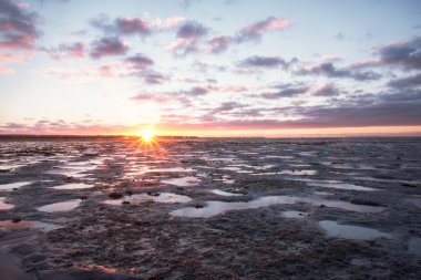 Baltık Denizi'nde duraklama. düşük su ve kum plaj