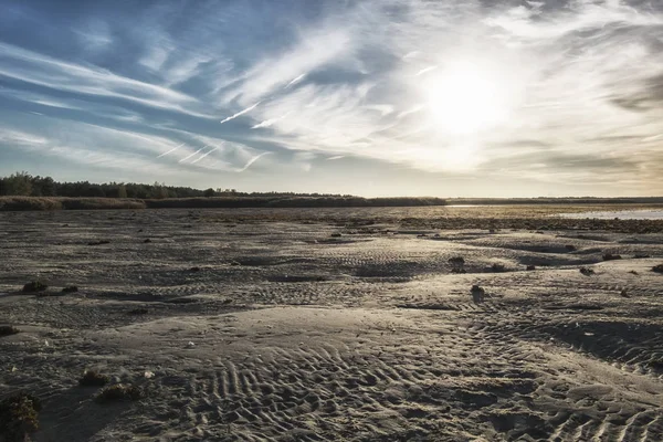 Baltık Denizi'nde duraklama. düşük su ve kum plaj