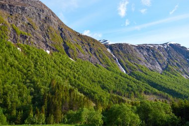 Watergate Norveç'te