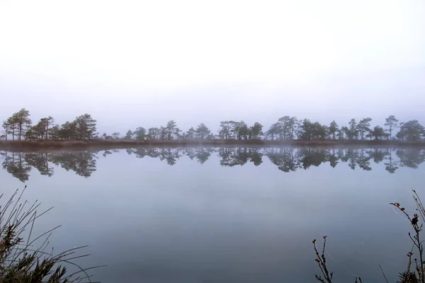 Отражение Озера Болоте — стоковое фото