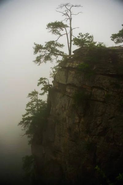 Montagne Falaise Zhangjiajie Wulingyuan Hunan Chine — Photo