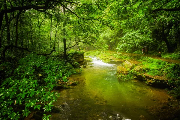 Wulingyuan Çin Deki Zhangjiajie Uçurumu — Stok fotoğraf