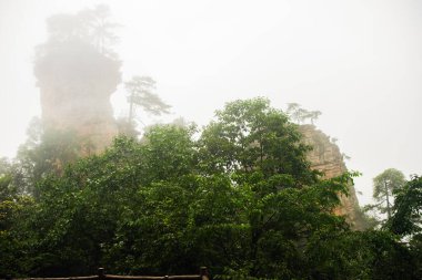 Wulingyuan Çin 'deki Zhangjiajie uçurumu.