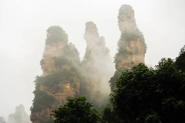 Wulingyuan Çin Deki Zhangjiajie Uçurumu — Stok fotoğraf